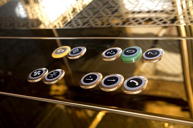 Gold Asansör Kabin Görseli - 3